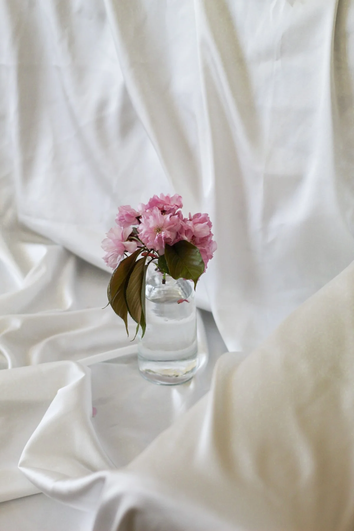Pink flowers in clear glass vase surrounded by white draped fabric